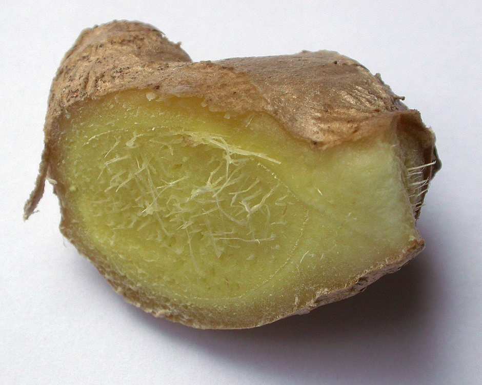 Foto: Forschungsgruppe Klostermedizin